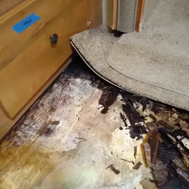 Best Wood Floor Water Damage Service in Vicksburg, MS